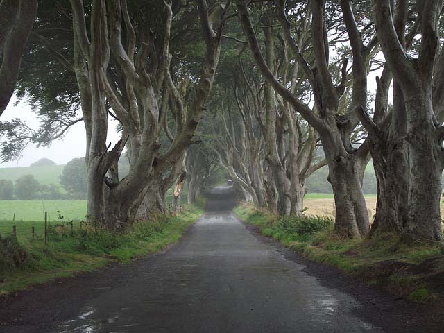 Ireland dark hedges - Game of Thrones filming locations