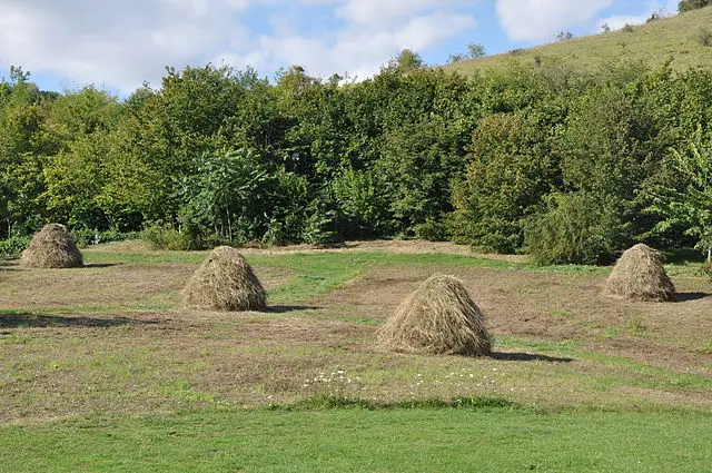 640px-Haystacks_like_those_of_Claude_Monet,_Giverny_2011