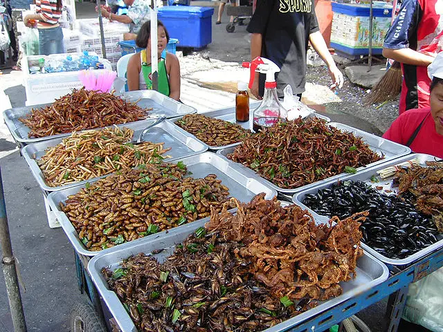 640px-Insect_food_stall