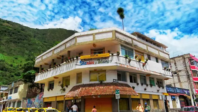 hostal plantas y blanco baños 