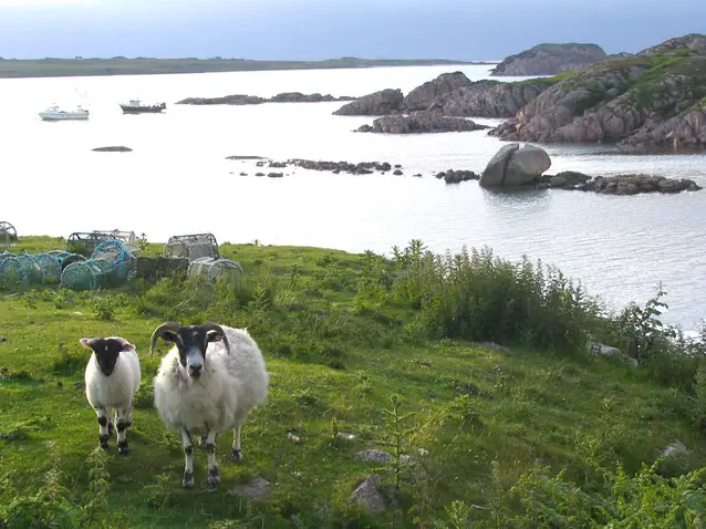 Iona journey