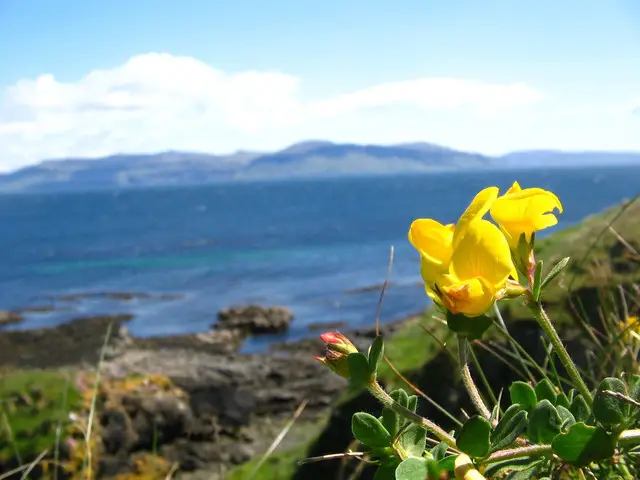 Visit Iona