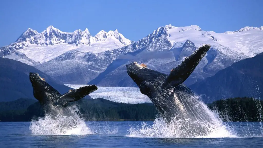 Alaska
