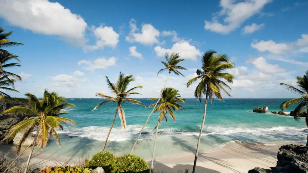 Caribbean