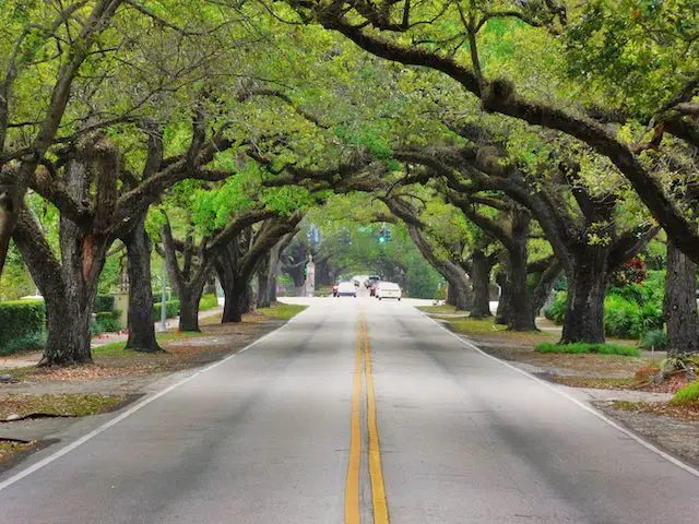 coral way coral gables