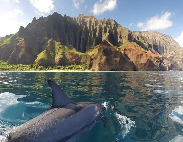 Kauai- Valentine's day