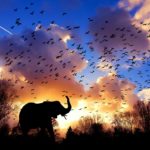 Here's why Kenya should be on your travel list