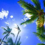 5 Tips to Help You Improve Your Hawaii Vacation