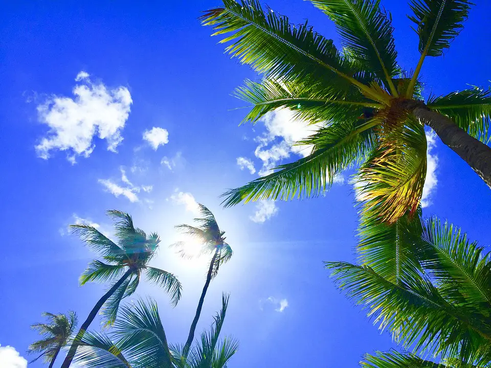 5 Tips to Help You Improve Your Hawaii Vacation
