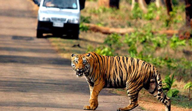 Top Adventurous Destination in India
