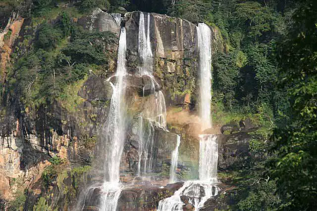 5 Amazing Mountains to Climb in Tanzania Udzungwa 