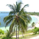 Florida Keys for Outdoorsy Types
