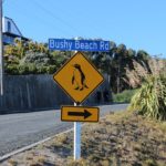 5 Essential Tips For Getting The Most Out Of Your NZ Road Trip