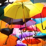 Best Travel Umbrella (UPDATED 2022)