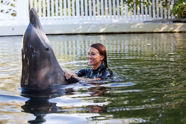 Dolphin plays with a woman in Florida keys