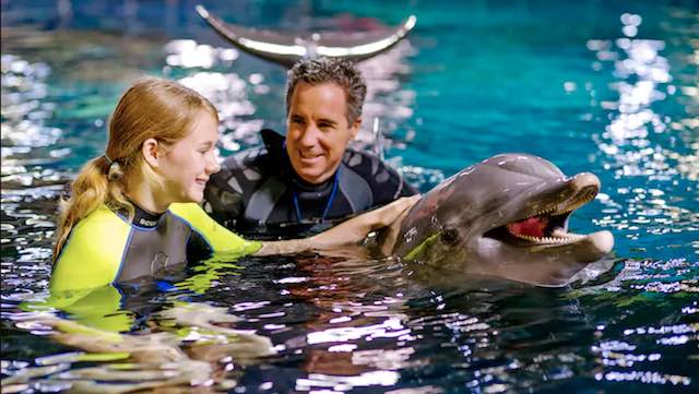 A girl meets a dolphin in Disney Orlando.