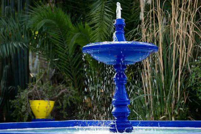 Marakkech jardin majorelle.