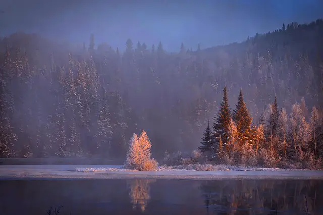 Quebec Nature