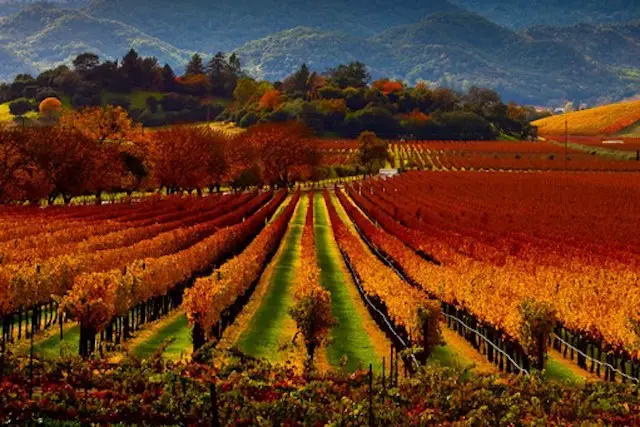 Napa valley California