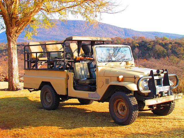 Safari car on a savanna