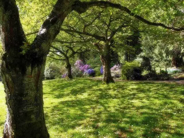 Stanley park Vancouver