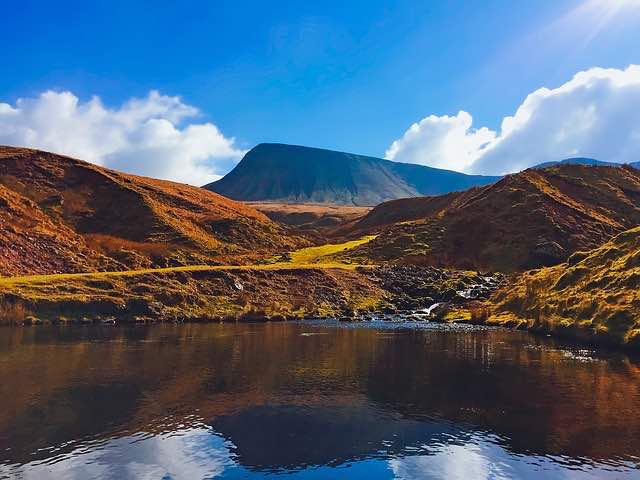 Wildlife heaven in Brecon Beacons