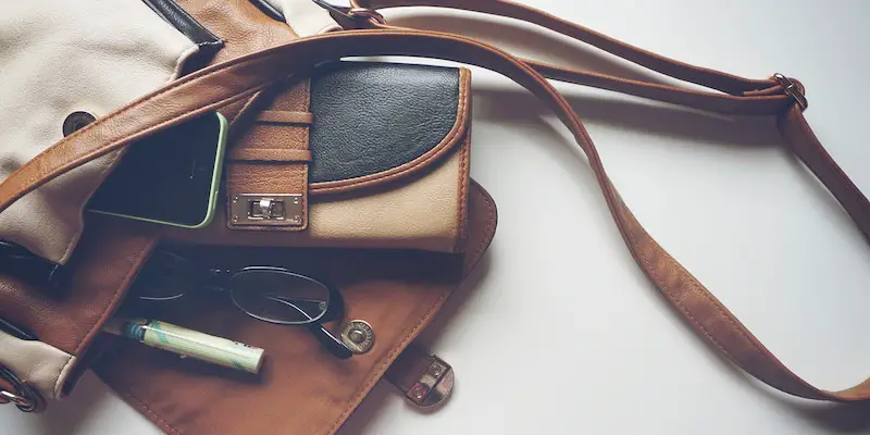 Best Travel Purse