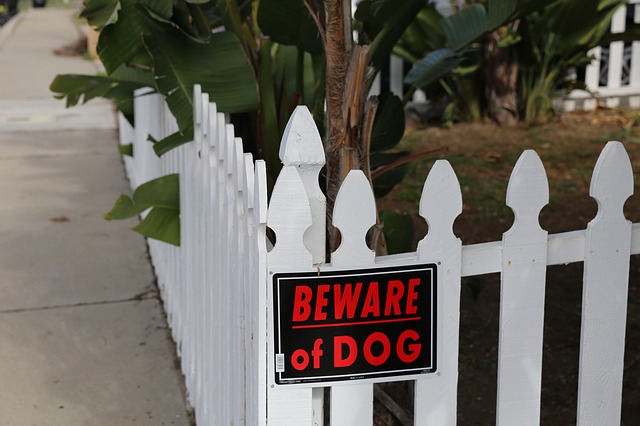 the dog bowl trick for home security
