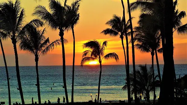Things to avoid in Maui