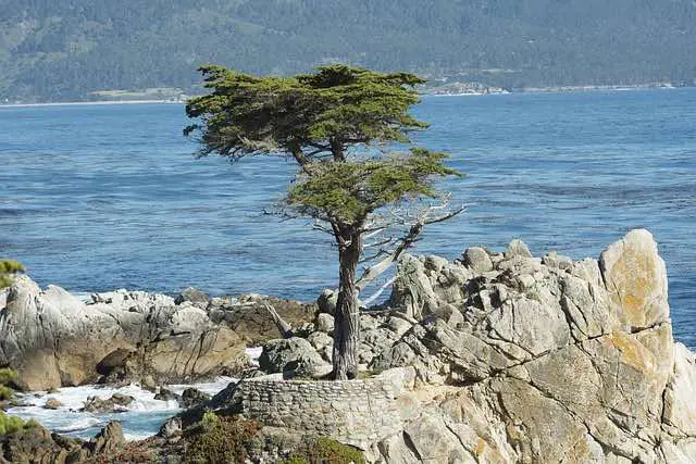 Pebble Beach California USA 