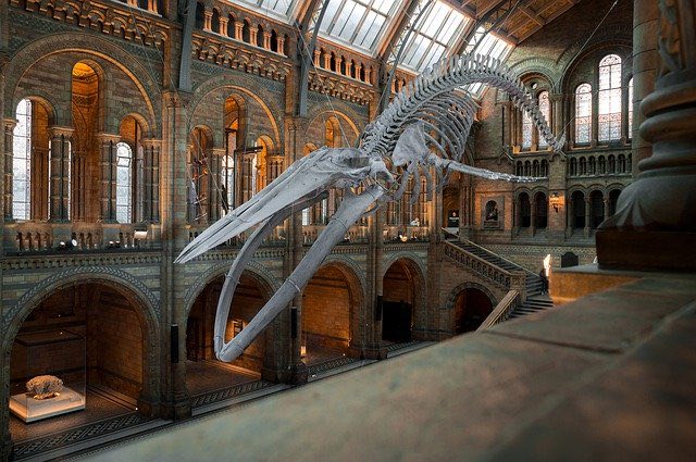 You can visit the Museums after dark in London