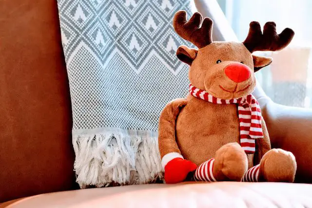 Packing essentials for a winter holiday
