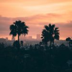 What to Do in Los Angeles