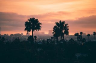 What to Do in Los Angeles