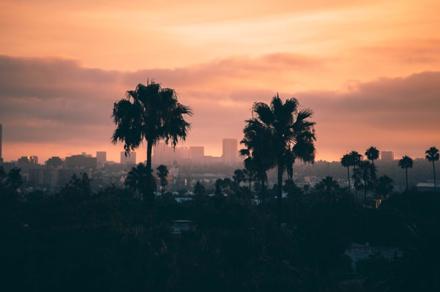 What to Do in Los Angeles