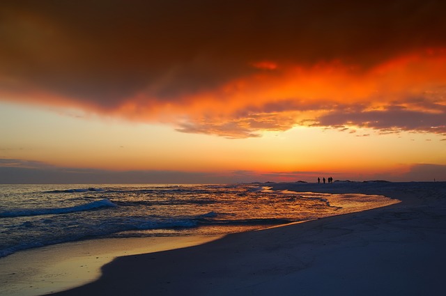 things to know before you visit florida