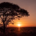 The Ultimate Guide to Traveling Africa Virtually