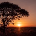 The Ultimate Guide to Traveling Africa Virtually