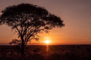 The Ultimate Guide to Traveling Africa Virtually