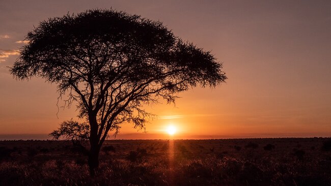 The Ultimate Guide to Traveling Africa Virtually