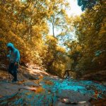 10 Places For Trekking in Wayanad, India