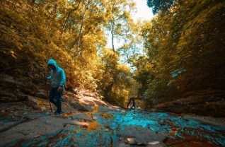 10 Places for Trekking in Wayanad