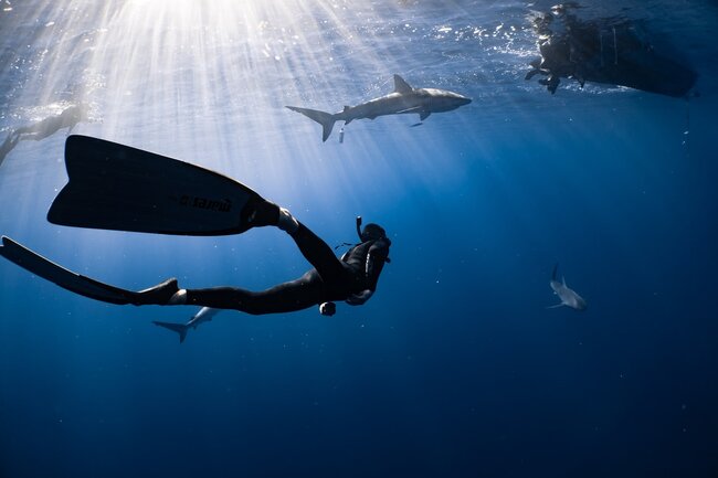 Your Guide to Diving in Komodo National Park