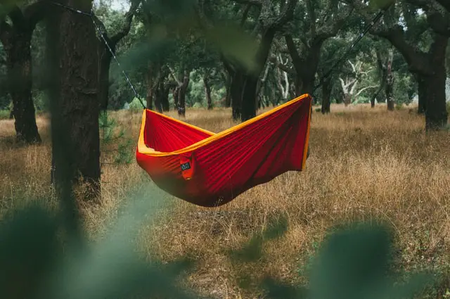 hammock