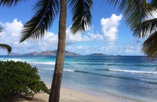 amazing things british virgin islands