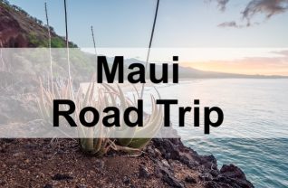 maui road trip